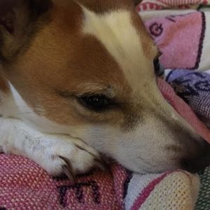 Meet your Posher, Carri